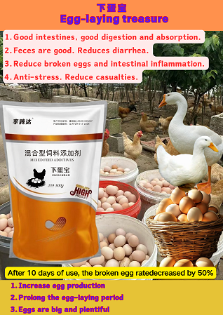 Eggs Laying Treasure