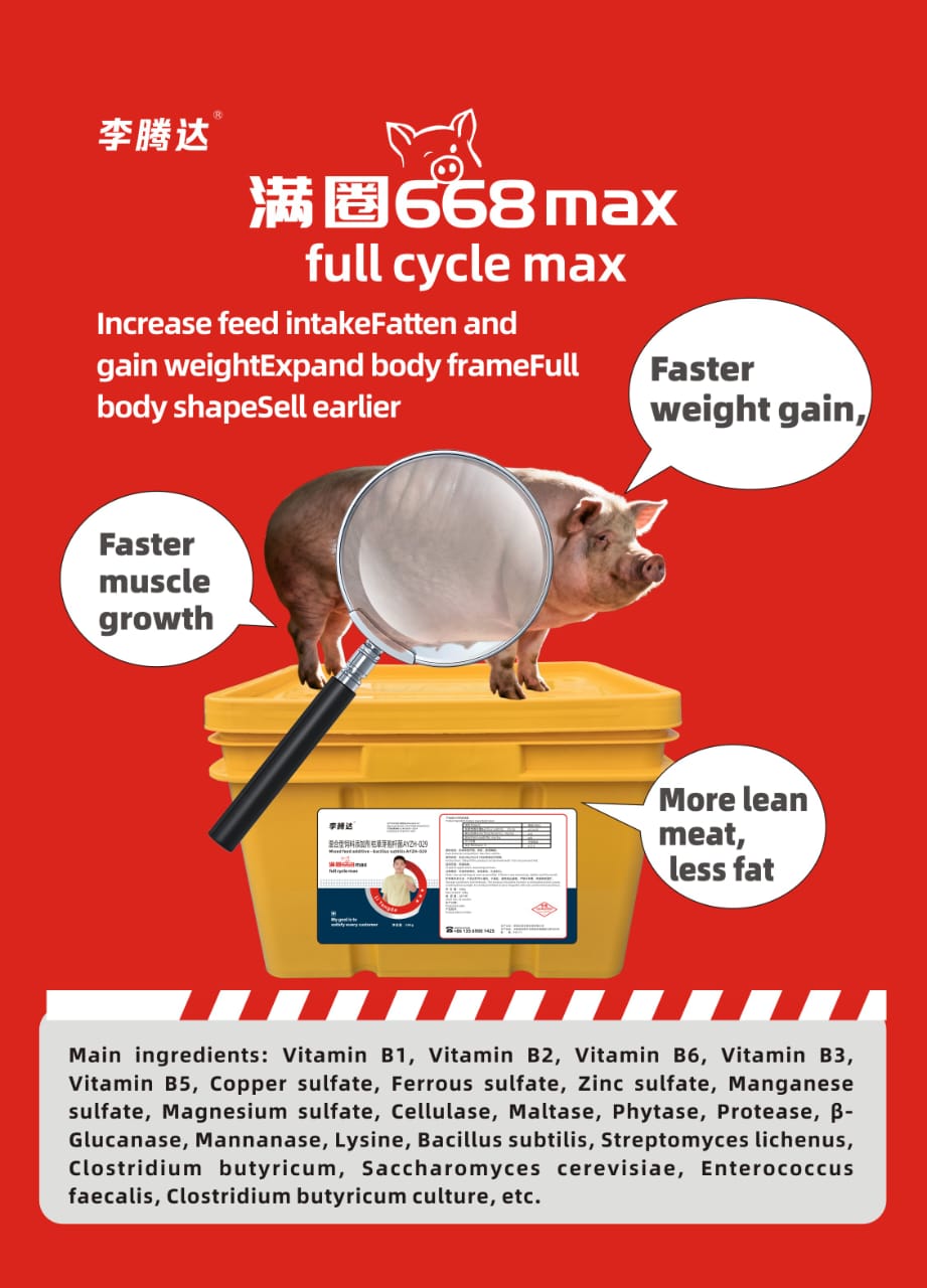 Full Circle MAX Version (20Kgs)
