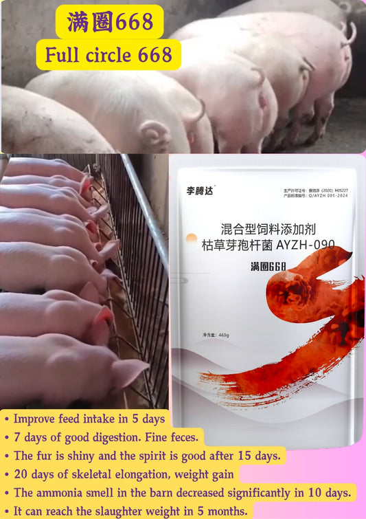 668/A full circle of 668 (Pig Fattening & Quick growth)