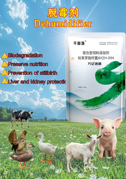 Mold Remover