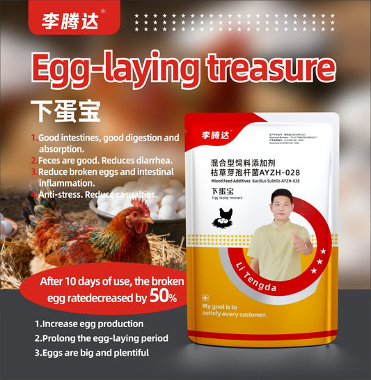 Eggs Laying Treasure